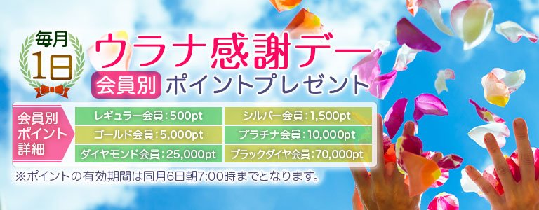 お客様感謝デー